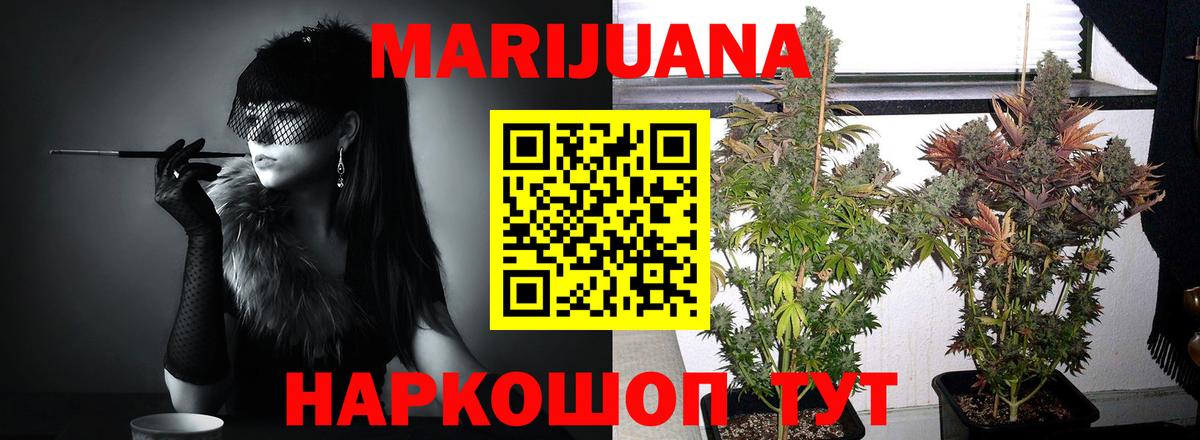 Каннабис OG Kush  Бошки Шишки семена  Коломна  Конопля Ganja  Вход с VPN 